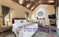 Quản lý khách sạn: Phòng Bungalow là gì? Mô hình lưu trú “được lòng” nhiều chủ đầu tư